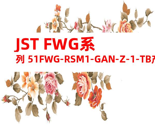 JST FWG系列 51FWG-RSM1-GAN-Z-1-TB产品规格书